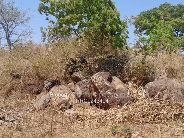 Vacant Stands For Sale In Gletwin