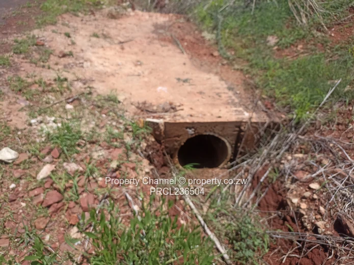 Pomona Serviced Residential Stands in Wild Geese, Buckland Gated Community