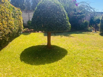 2 Bedroom Flat & Apartment