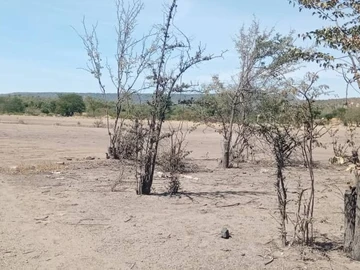 Commercial & Industrial Land