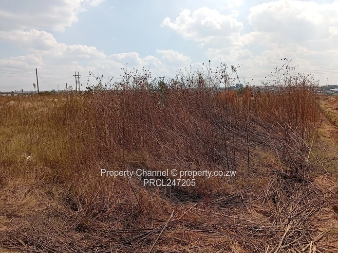 200m² Barrington Tarred Road with Services