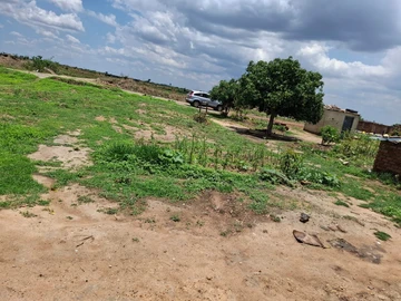 Stands & Residential Land