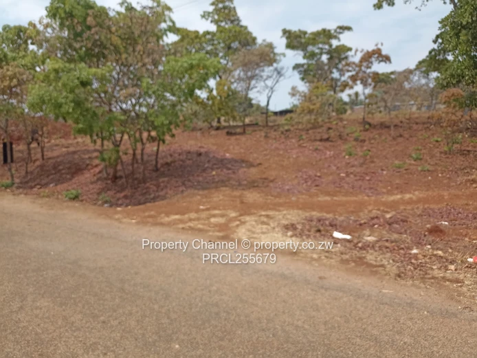2,100m² Plot on Paved Road with Palm Trees, Hogerty Hill