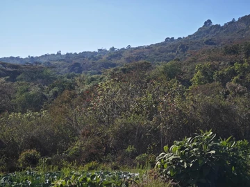 Commercial & Industrial Land