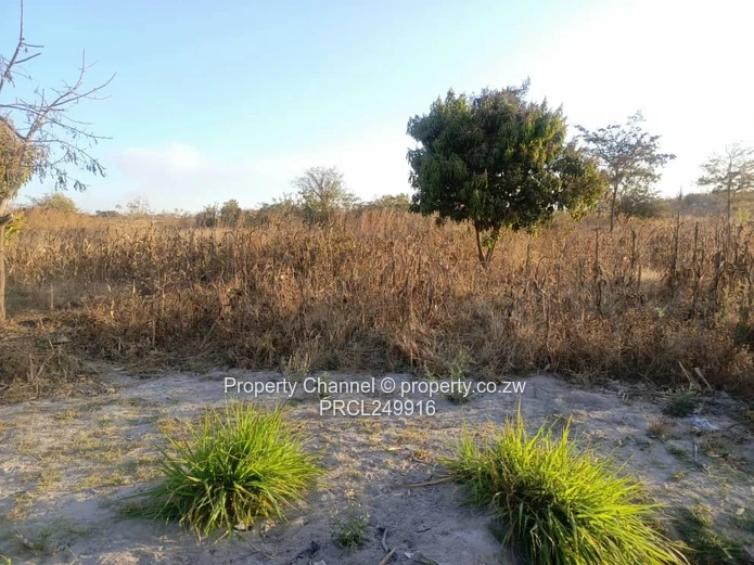 Stand for Sale – Prime Location Near Ocean Primary School