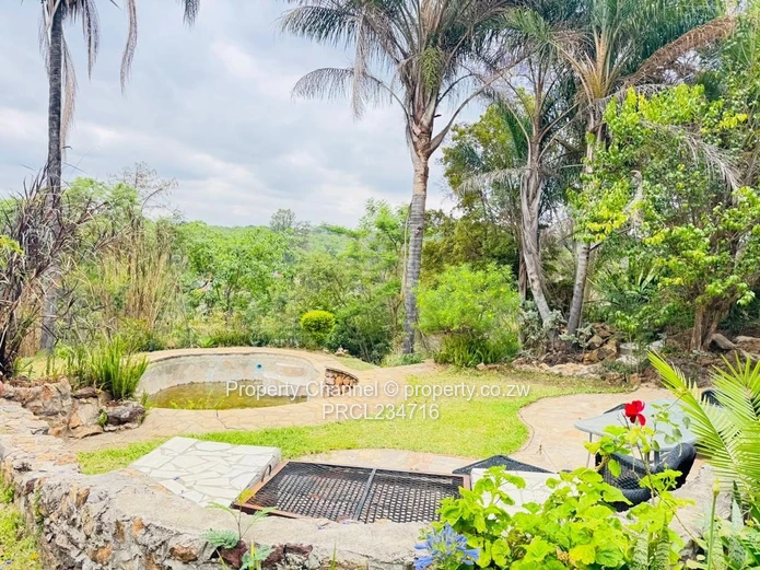 Glen Lorne 4-Bed on 7,033m² — Pool, Borehole & Gardens