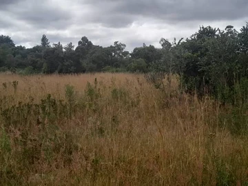 Farm & Agricultural Land