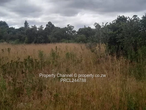 Prime Flat Agro Plot – Ideal for Farming, dwelling & Investment