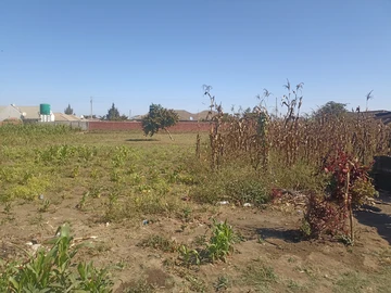 Stands & Residential Land