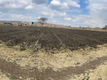 Farm & Agricultural Land