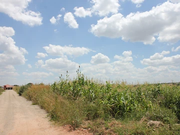 Commercial & Industrial Land