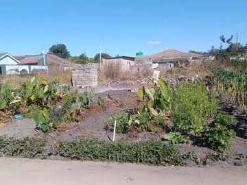 Land