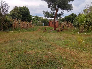 Stands & Residential Land