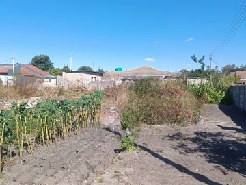 Land