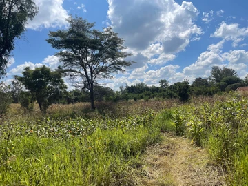 3 Bedroom Flat & Apartment