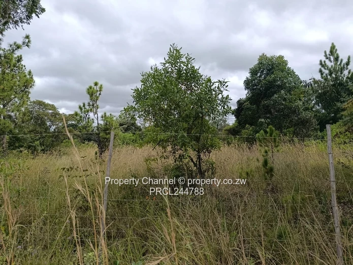 Prime Flat Agro Plot – Ideal for Farming, dwelling & Investment