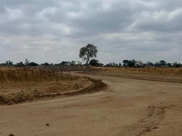 Stands & Residential Land