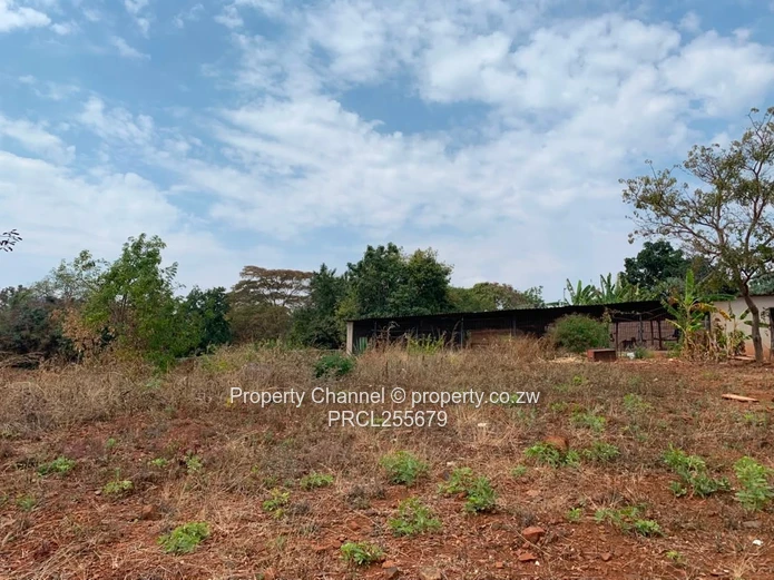 2,100m² Plot on Paved Road with Palm Trees, Hogerty Hill