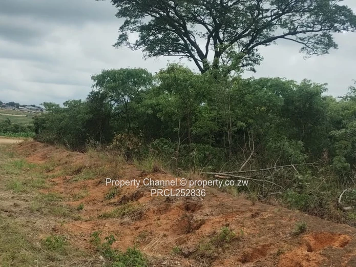 2159m² Corner Stand with Mature Trees in Rotsvlei Park, Marondera