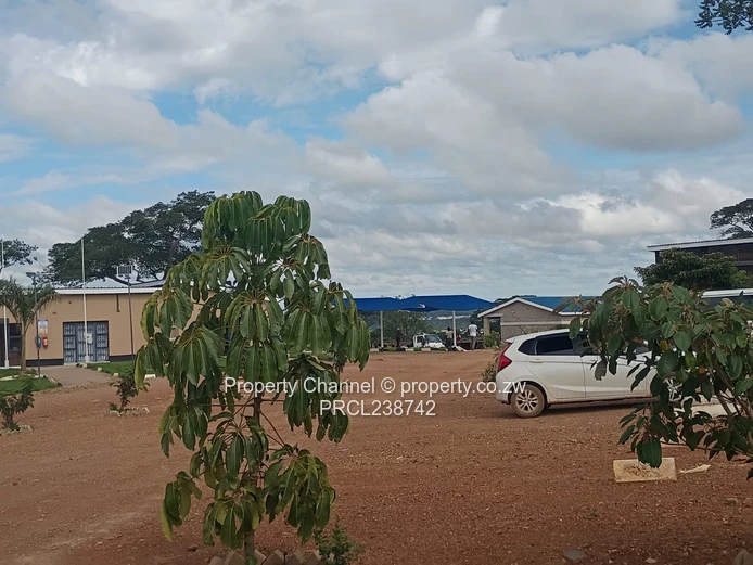 1172m² Serviced Stand in Kadoma – Road & Drainage Ready