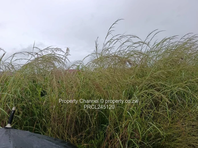 Prime 2,279sqm Stand for Sale in Mt Pleasant Heights – Ideal for Your Dream Home or Investment