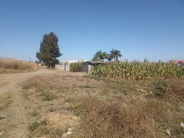 Stands & Residential Land