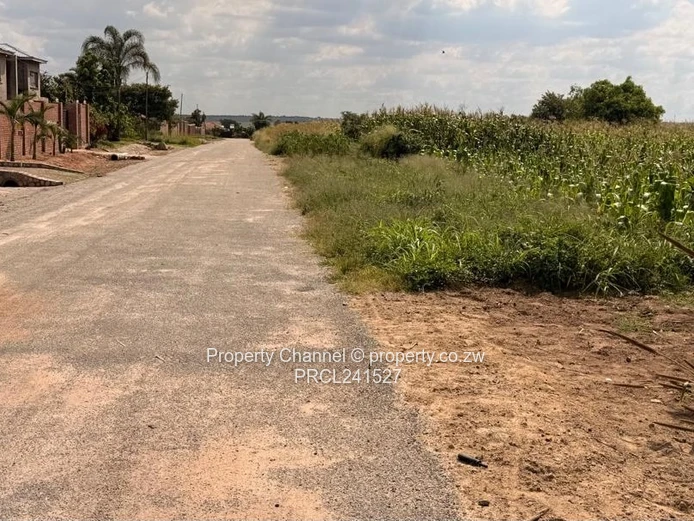 826m² Plot on Quiet Paved Road, Zimre Park East