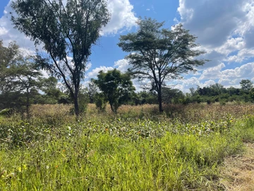 3 Bedroom Flat & Apartment