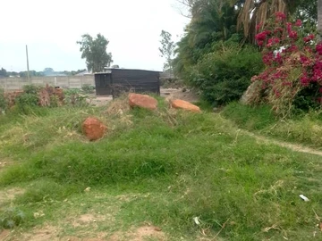 Commercial & Industrial Land