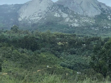 Farm & Agricultural Land