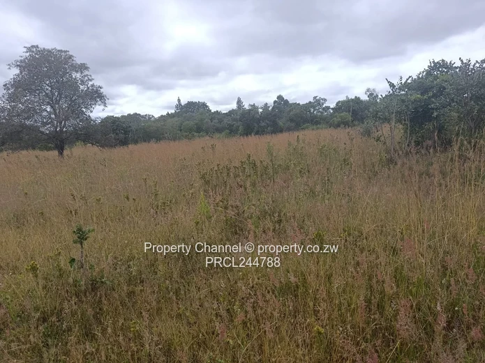 Prime Flat Agro Plot – Ideal for Farming, dwelling & Investment
