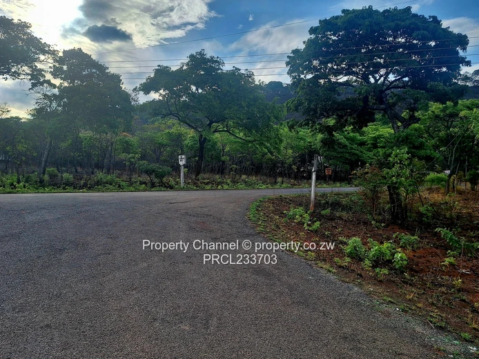 Own a piece of Paradise!