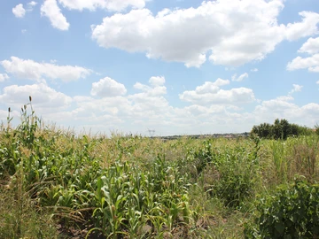 Commercial & Industrial Land