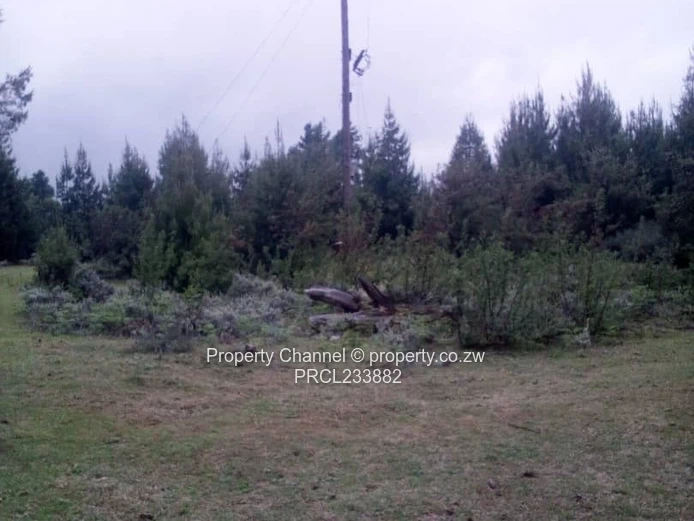 Nyanga Plots For Sale