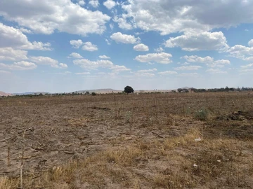 Commercial & Industrial Land