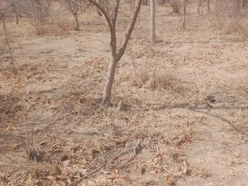 Commercial & Industrial Land