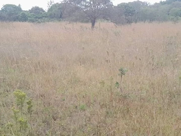 Farm & Agricultural Land