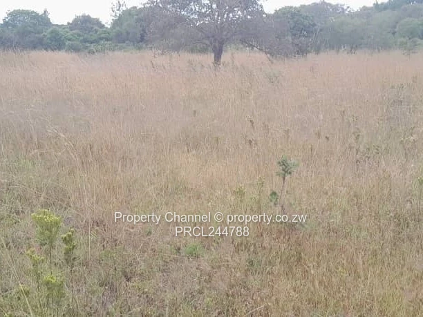 Prime Flat Agro Plot – Ideal for Farming, dwelling & Investment