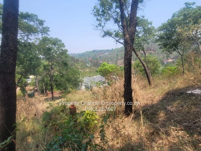 Available is a 2500m² Glen Lorne Stand