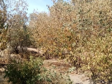 Commercial & Industrial Land