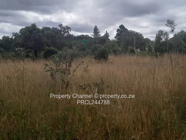Prime Flat Agro Plot – Ideal for Farming, dwelling & Investment