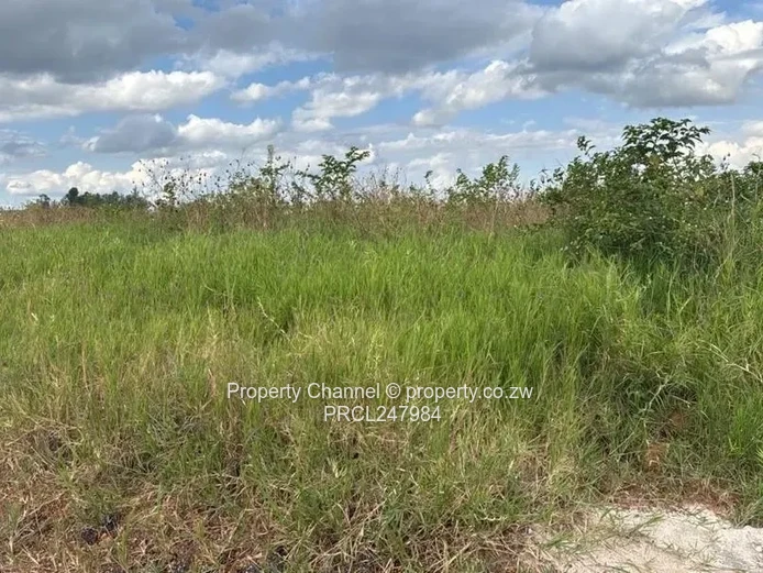 A 300 sqm Stand in Manyame Park, Chitungwiza