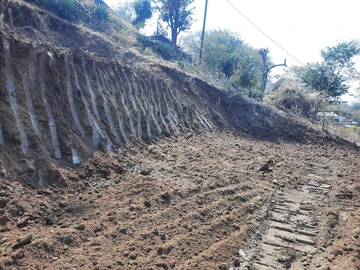 Stands & Residential Land