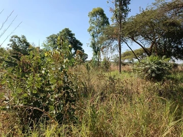 Commercial & Industrial Land