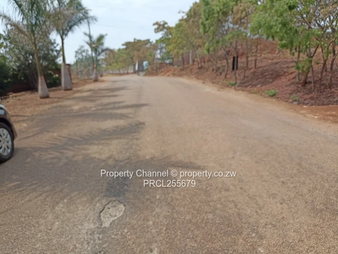 2,100m² Plot on Paved Road with Palm Trees, Hogerty Hill