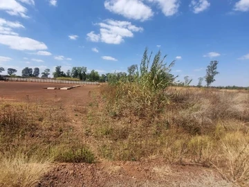 Commercial & Industrial Land