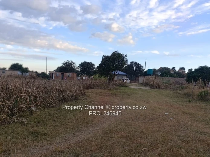 2000 m² Fenced Plot with Road Access in Whitecliff
