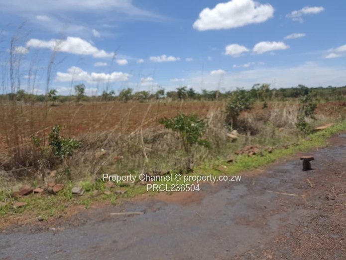 Pomona Serviced Residential Stands in Wild Geese, Buckland Gated Community