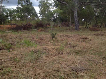 Stands & Residential Land