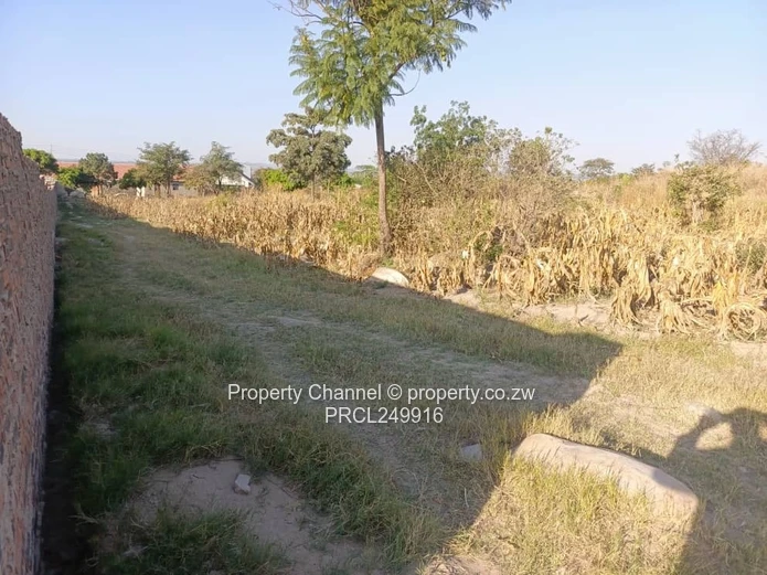 Stand for Sale – Prime Location Near Ocean Primary School
